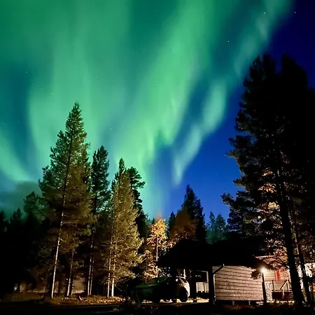 Silver Lapland
