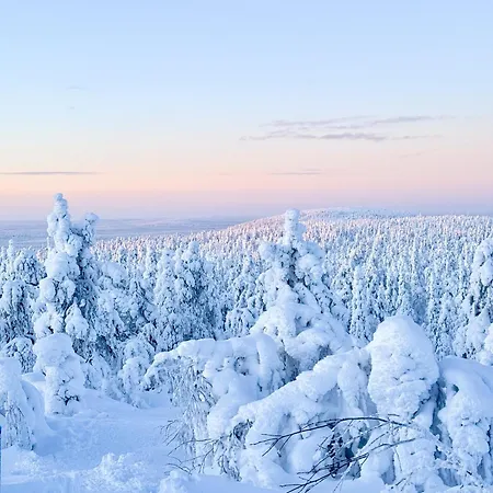 Chalet Silver Lapland