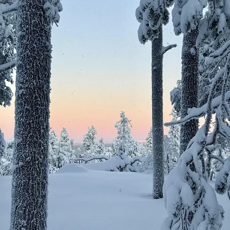 Silver Lapland Chalet *