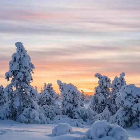 Silver Lapland Chalet *