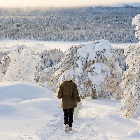 Silver Lapland