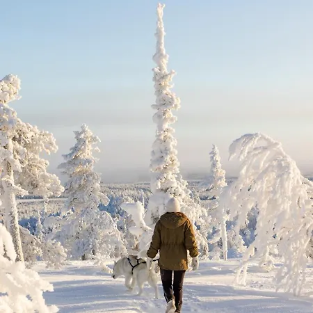Chalet Silver Lapland Luosto